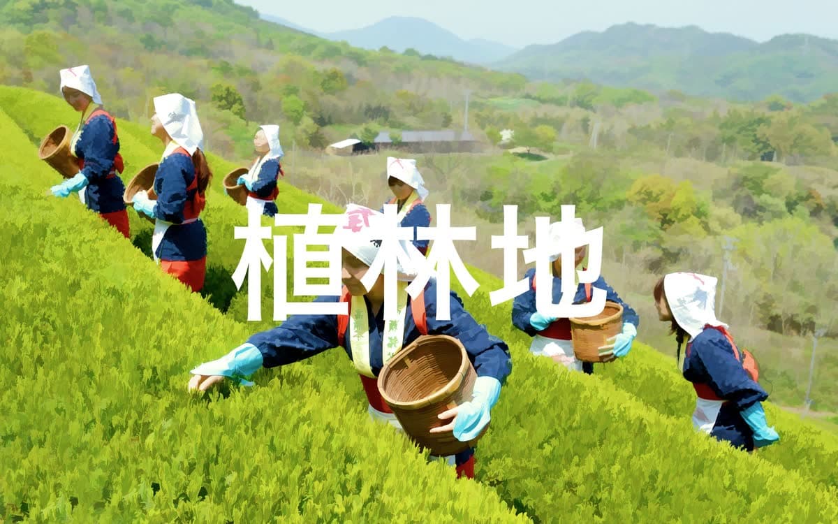 フォーハーツ Fohatsu, image 4
