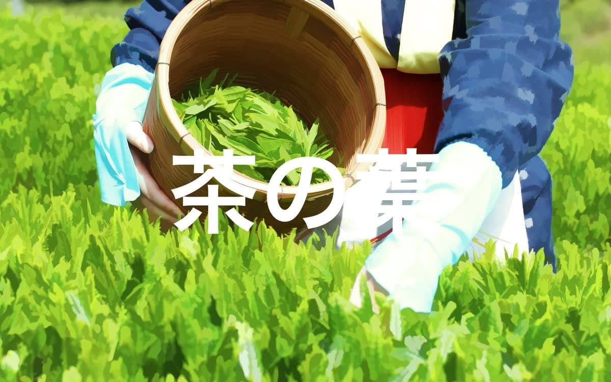 フォーハーツ Fohatsu, image 6