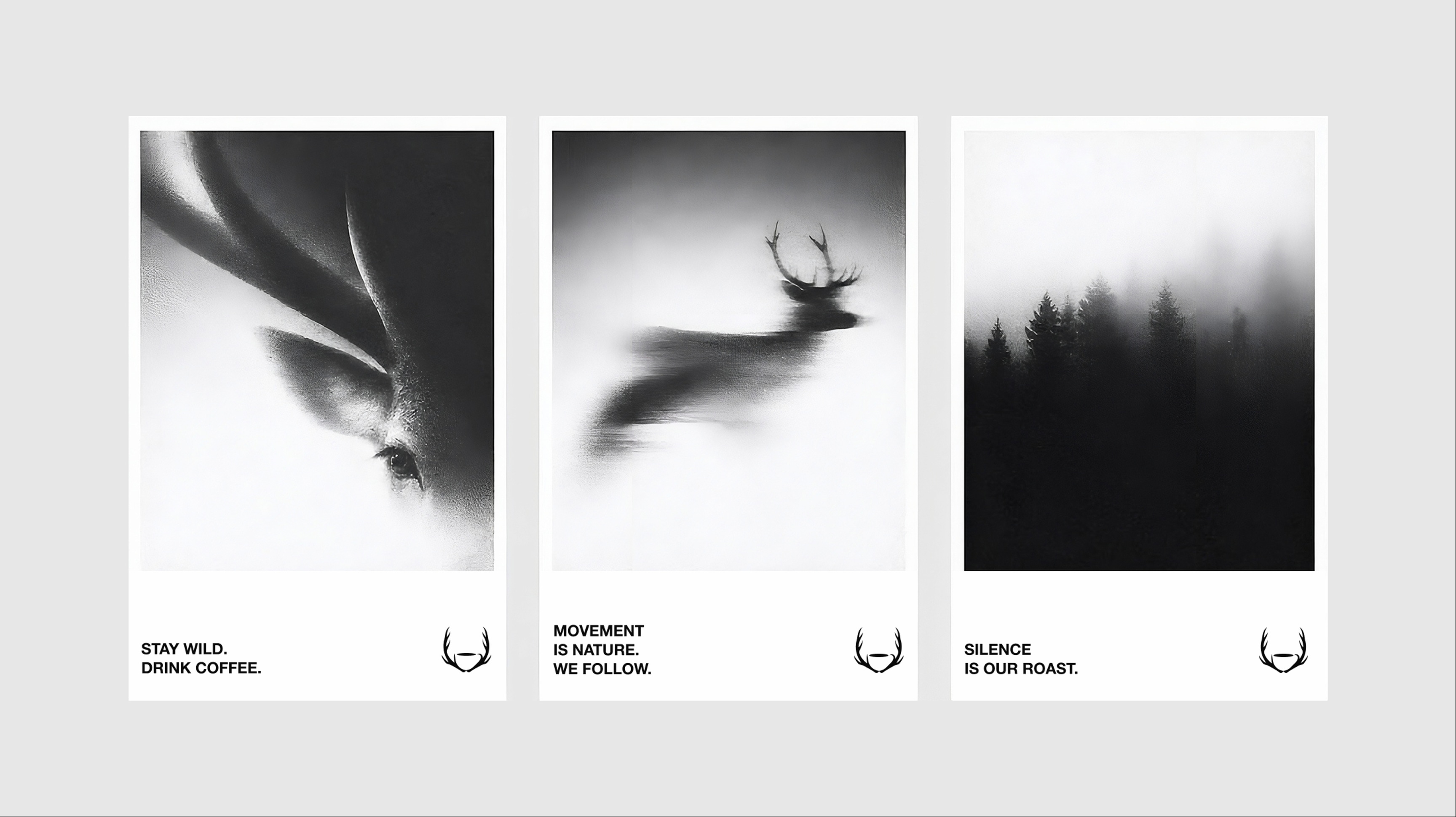 Three posters on a wall: the animal, the stag and the forest, each with its line