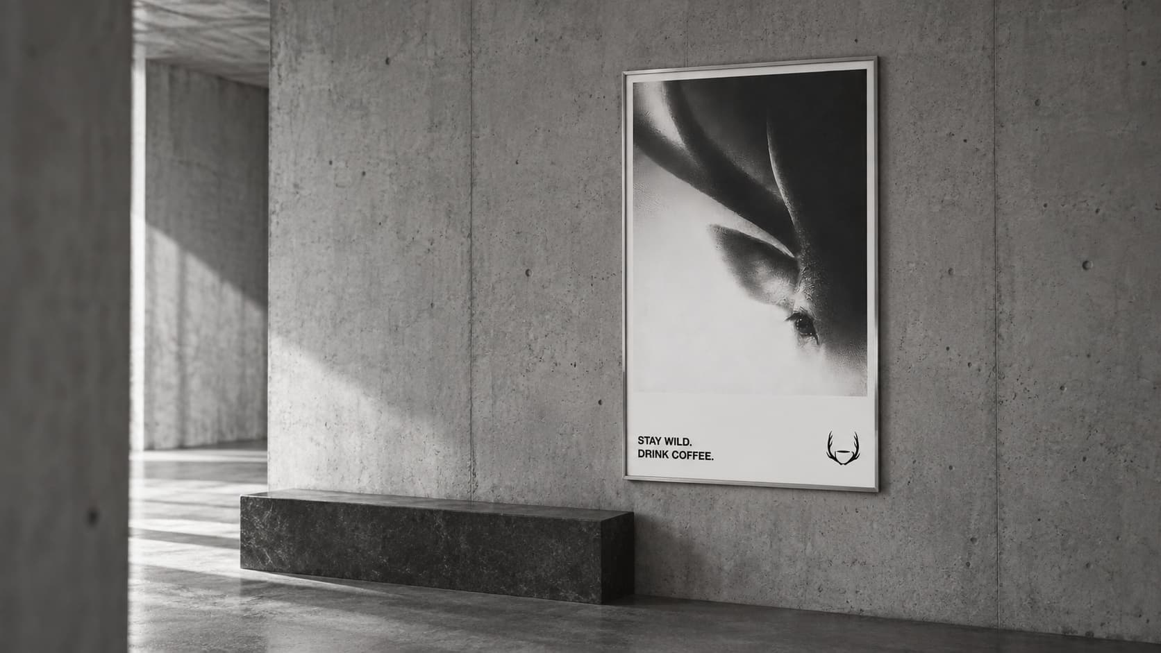 The animal poster framed on a concrete wall, sunlight across the floor