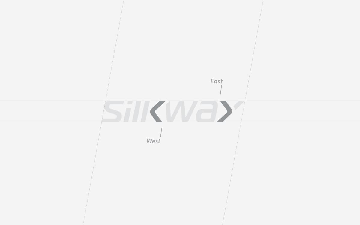 Silk Way Airlines, image 3