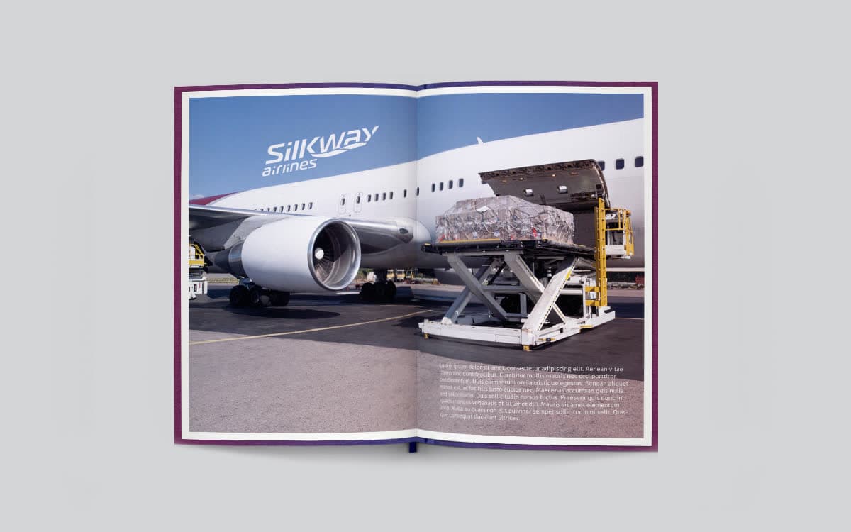 Silk Way Airlines, image 11