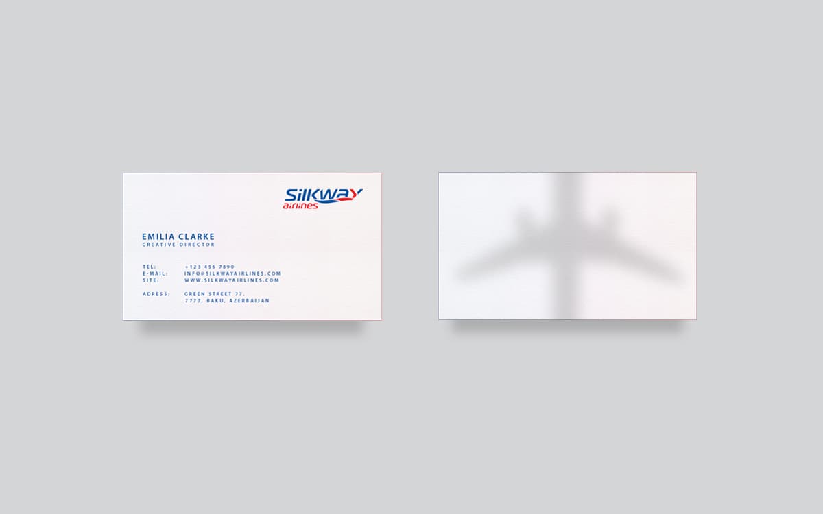 Silk Way Airlines, image 13