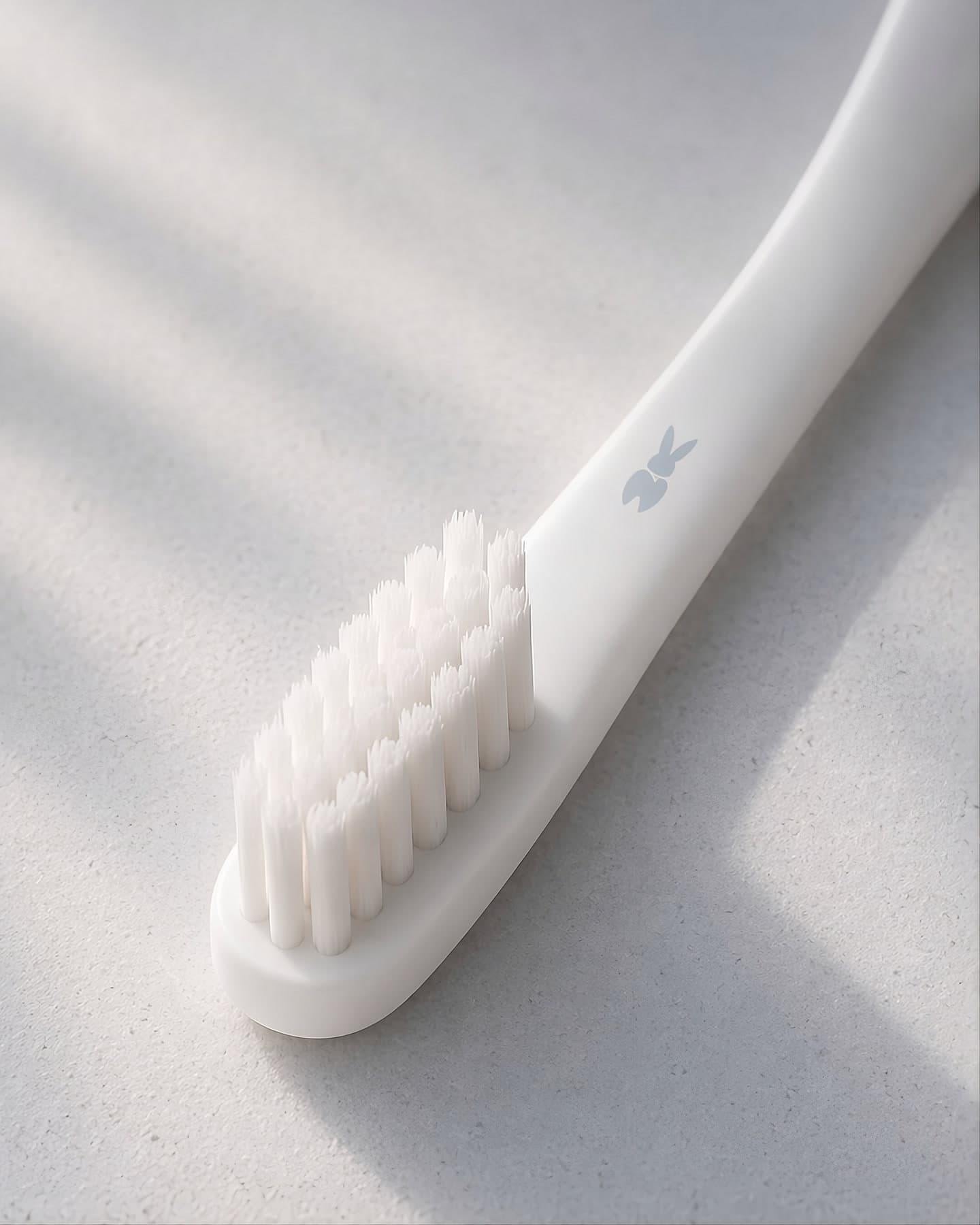 Brush handle carrying the mark
