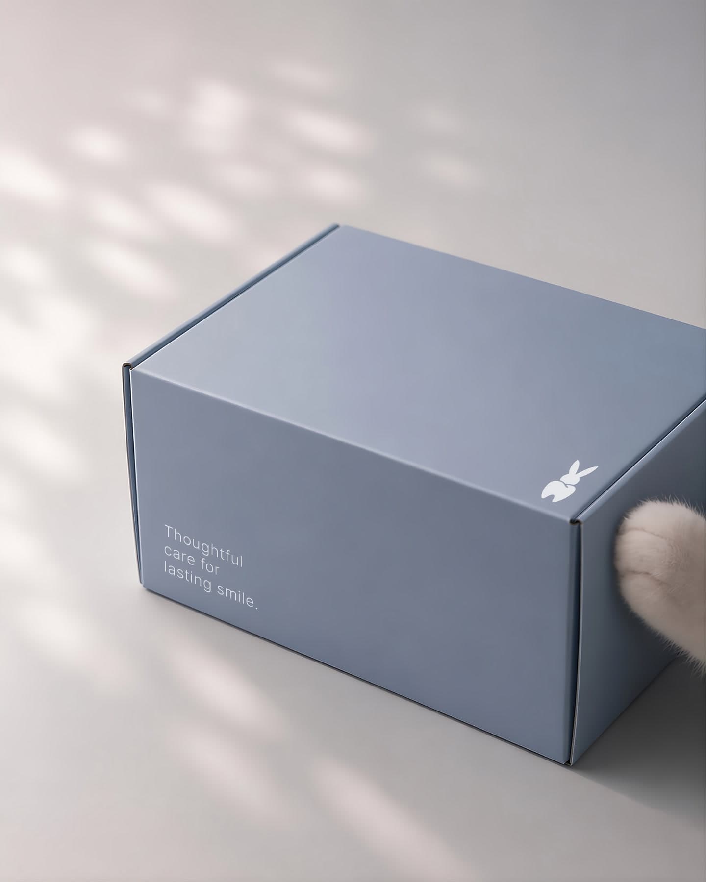 Shipping box with the mark