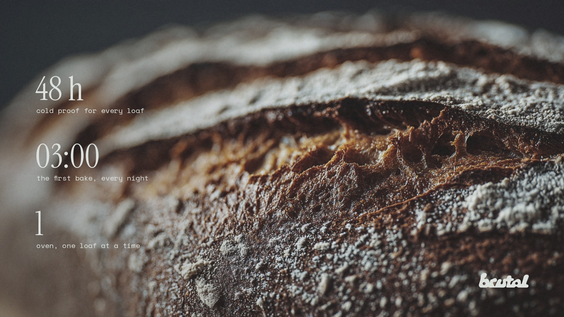 Close-up of a floured sourdough crust: 48 h cold proof, the first bake at 03:00, one oven.