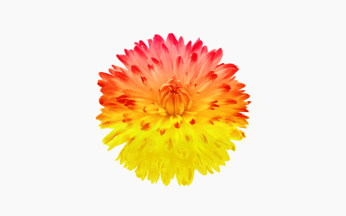 フォーハーツ Fohatsu, image 30