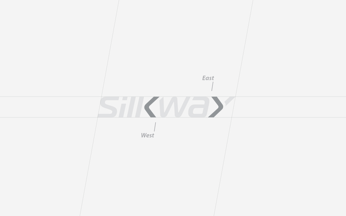 Silk Way Airlines, image 3